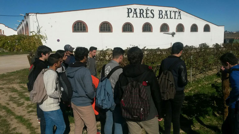 Caves Pacs del Penedès