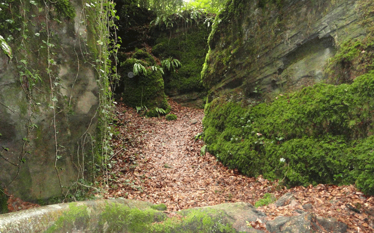 Les Escletxes de la Freixeneda, excursió, Agrupa