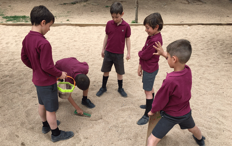 matemàtiques, 2n de primària