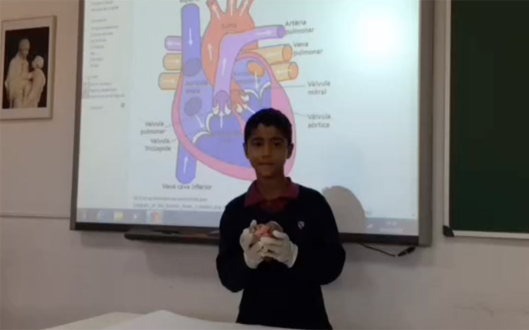Els alumnes de 5è manipulen un cor i uns pulmons